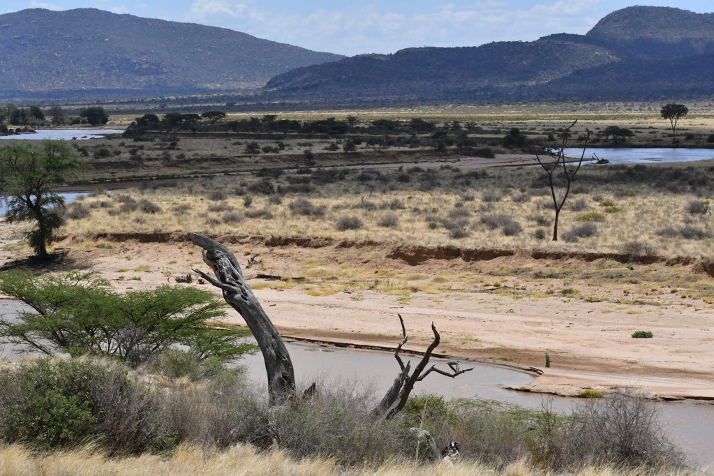 Buffalo Springs Nat. Reserve